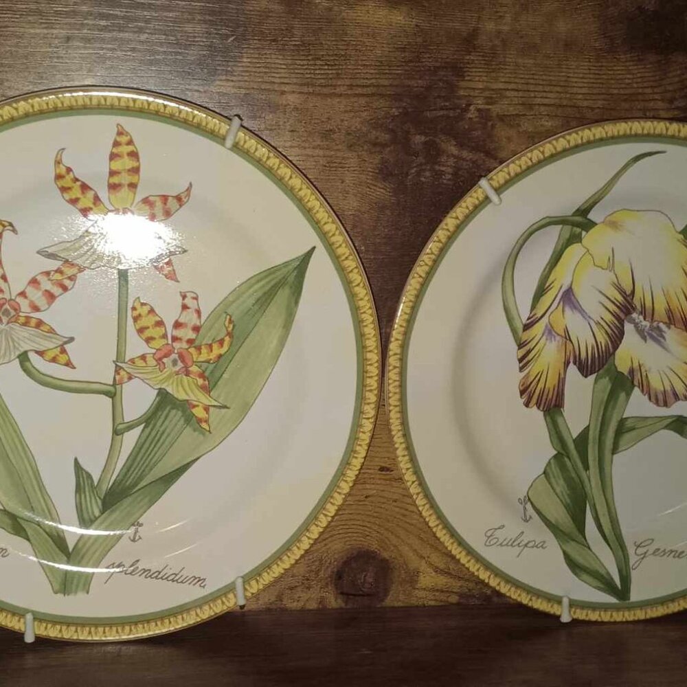 American Atelier Botanical Decorative Plates in Holders